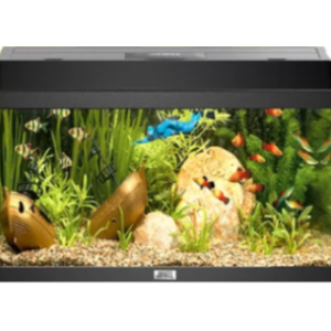Juwel Acvariu Led Primo 110 Negru 2.0