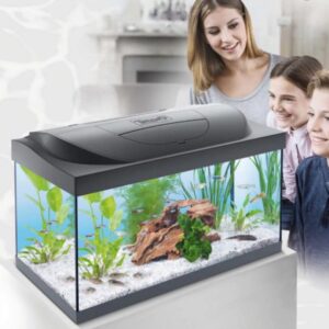 Tetra Acvariu Starter Line Led Day&Night 54 L Negru