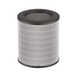 Filtru Rowenta XD6280F0  compatibil cu purificatorul Pure Air City  seria PU2840F0