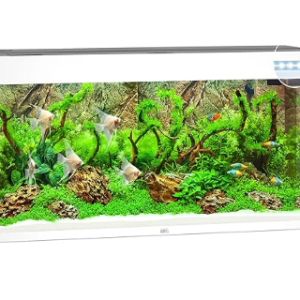 Juwel Acvariu Led Rio 240 Alb