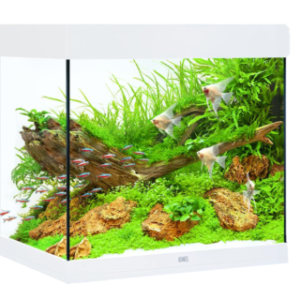 Juwel Acvariu Led Lido 120 Alb