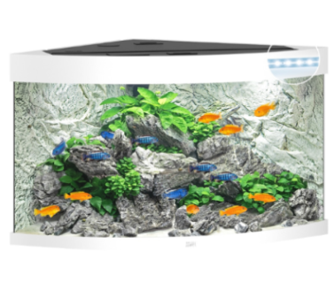 Juwel Acvariu Led Trigon 350 Alb