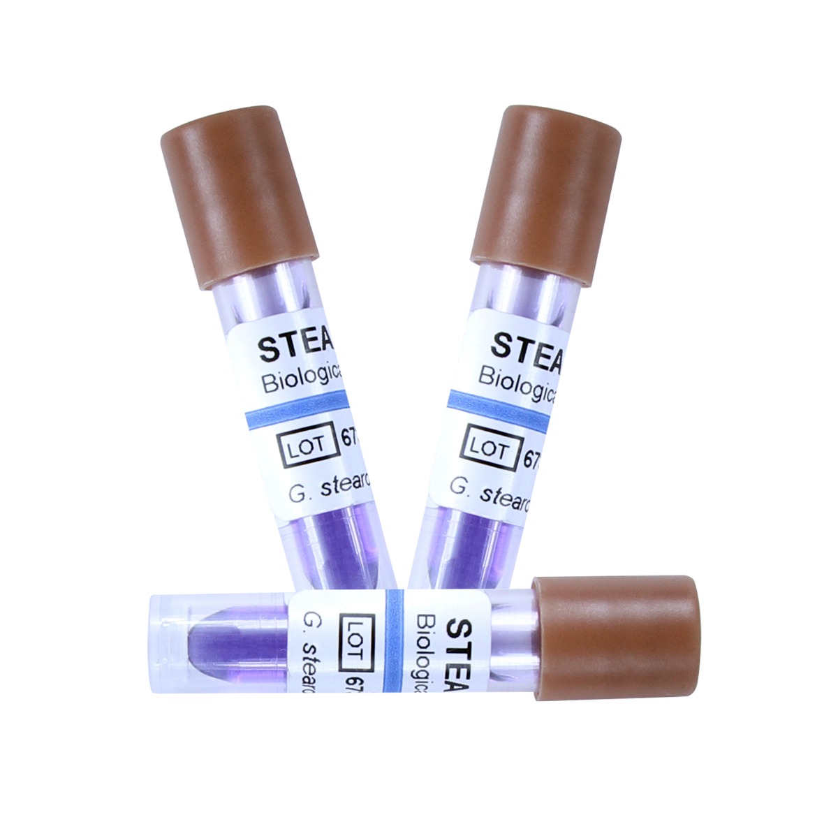 Indicator biologic Geobacillus Stearothermophilus abur Bionova, 100 bucati