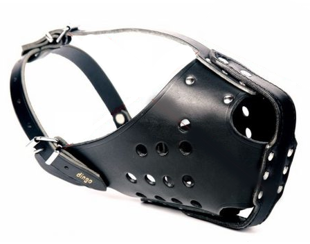 Dingo Botnita Piele Ciobanesc German 4061