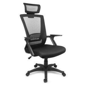 Scaun de Birou, Dr.Home Pixy XL, Suport Lombar, Tetiera, Mesh – Negru