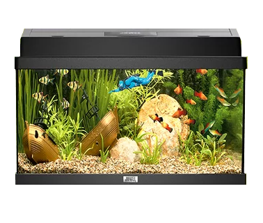 Juwel Acvariu Primo Led 70 Negru 2.0