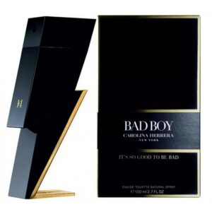 Bad Boy – EDT 100 ml