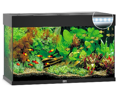 Juwel Acvariu Led Rio 180 Negru