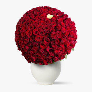 Buchet 229 trandafiri rosii – Dragoste fara limite