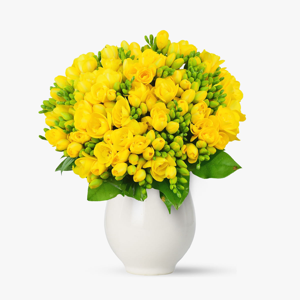 Buchet de 101 frezii galbene