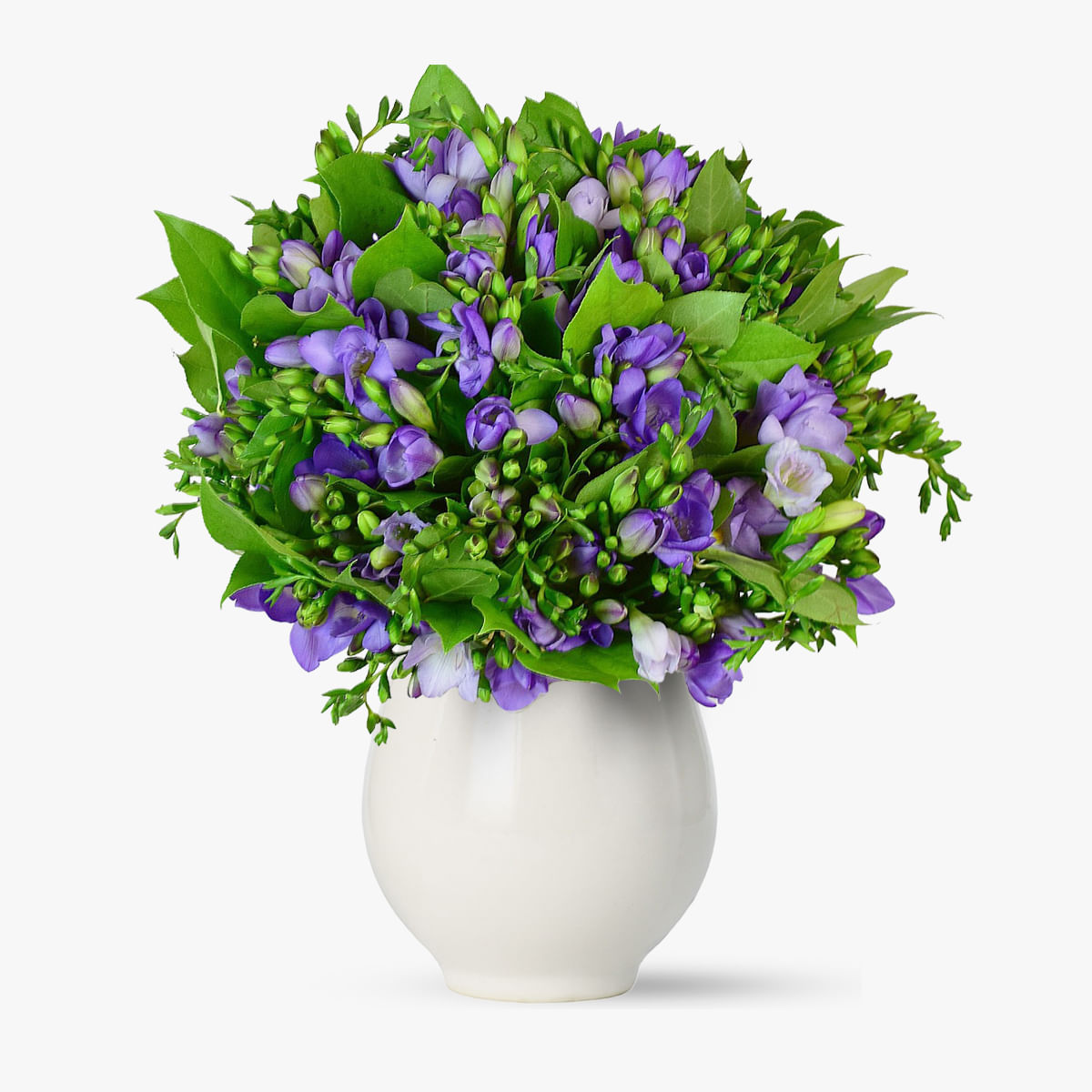 Buchet de 101 frezii mov