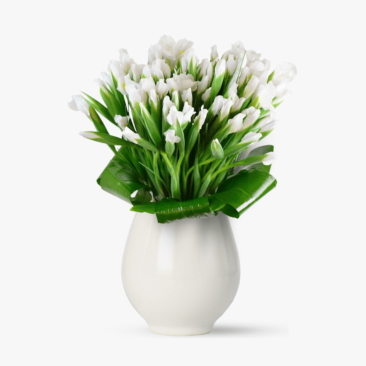 Buchet de 101 irisi albi