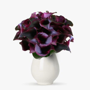 Buchet de 55 cale mov