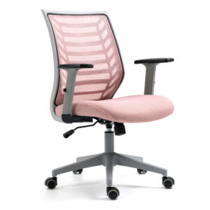 Scaun de Birou, Doctor Shield Think, Suport Lombar, Mesh – Roz