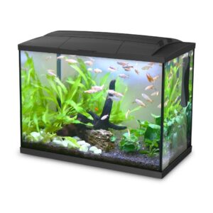 Acvariu Hailea K60 – negru