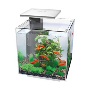 Acvariu Hailea QUBIQ 30 LED – alb