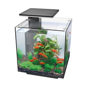 Acvariu Hailea QUBIQ 30 LED – negru