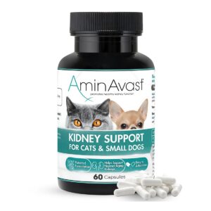 AminAvast Pisica & Caine Talie Mica, 60 capsule