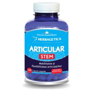 Articular Stem