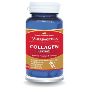 Collagen Artro