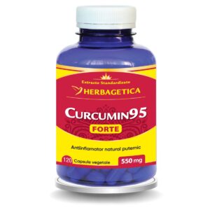 Curcumin95 Forte