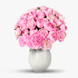 Buchet de 35 bujori roz