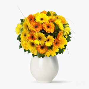 Buchet de 101 gerbera galbene