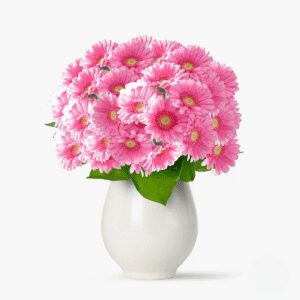 Buchet de 101 gerbera roz