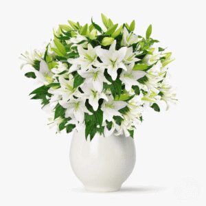 Buchet de 55 crini imperiali albi