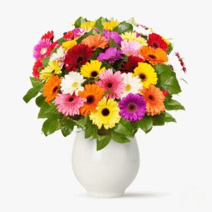 Buchet de 101 gerbera multicolore
