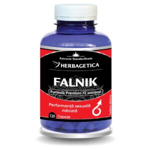 Falnik