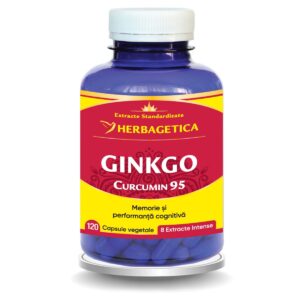 Ginkgo Curcumin95, 120 capsule