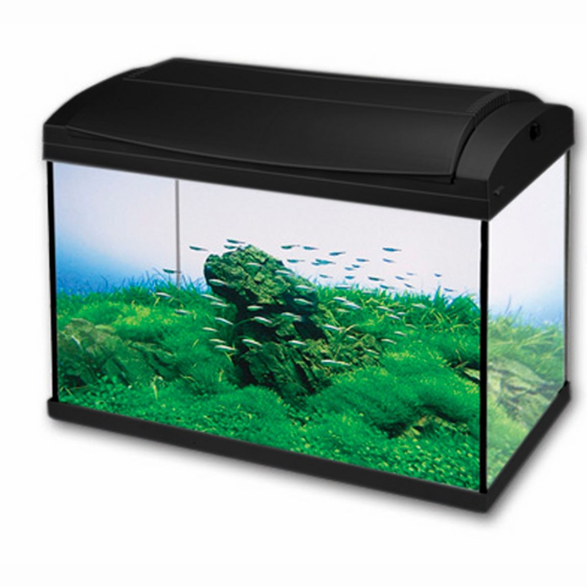 Hailea Acvariu F60 Negru 60l