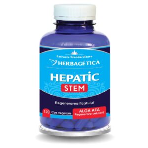 Hepatic Stem