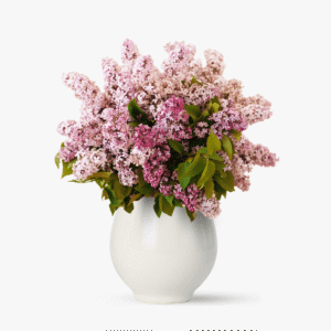 Buchet de 35 de fire de liliac
