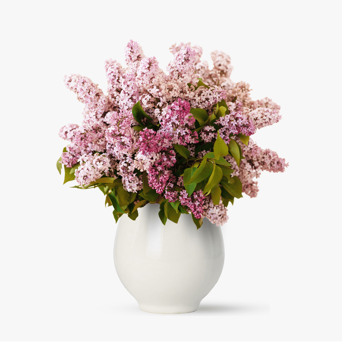 Buchet de 35 de fire de liliac