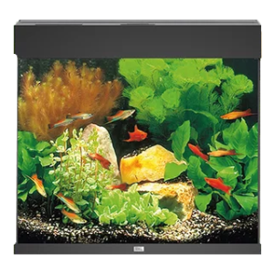 Juwel Acvariu Led Lido 200 Negru