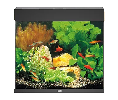 Juwel Acvariu Led Lido 200 Negru