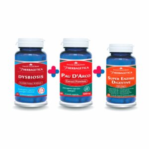 PROTOCOL DISBIOZA
