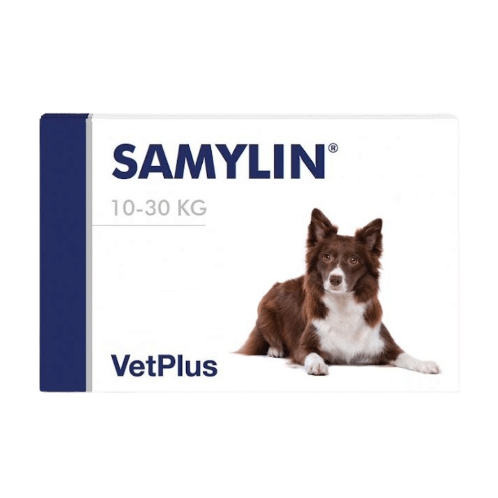Samylin, 30 tablete - Image 2