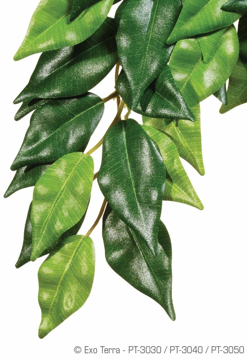 Exo Terra Planta Ficus Small 45 CM PT3030