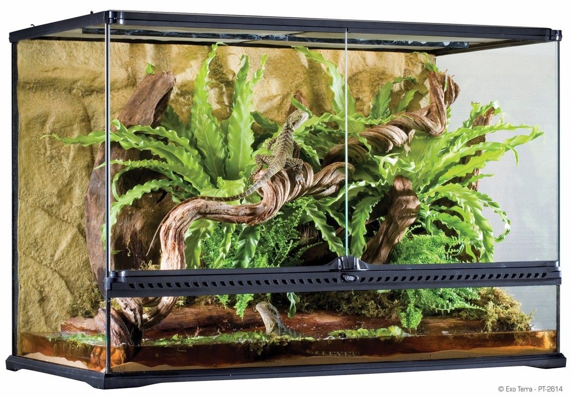 Exo Terra Terariu Sticla 90X45X60 cm PT2614
