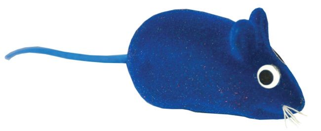 Jucarie Soricel Color
