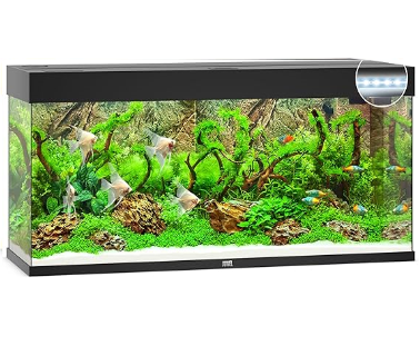 Juwel Acvariu Led Rio 350 Negru