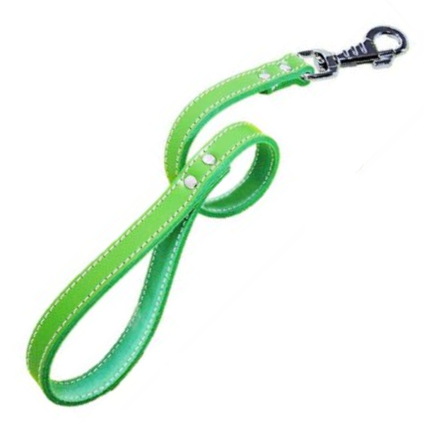 Lesa Pet Expert Clasic 1,8×60 cm Verde Nr.5