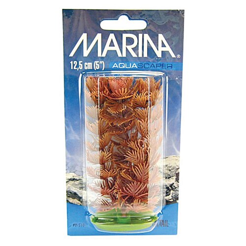 Marina Planta Foxtail 20 cm PP810