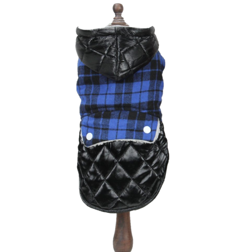 Pet Expert Haina Caine Black/Blue BO-Z23039 – s,pet-expert