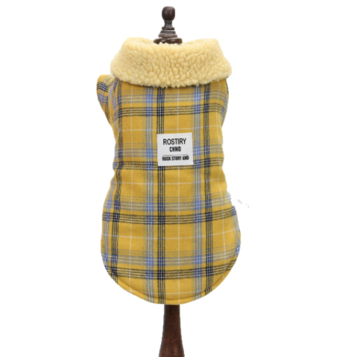 Pet Expert Haina Caine Yellow BO-Z22020 – l,pet-expert
