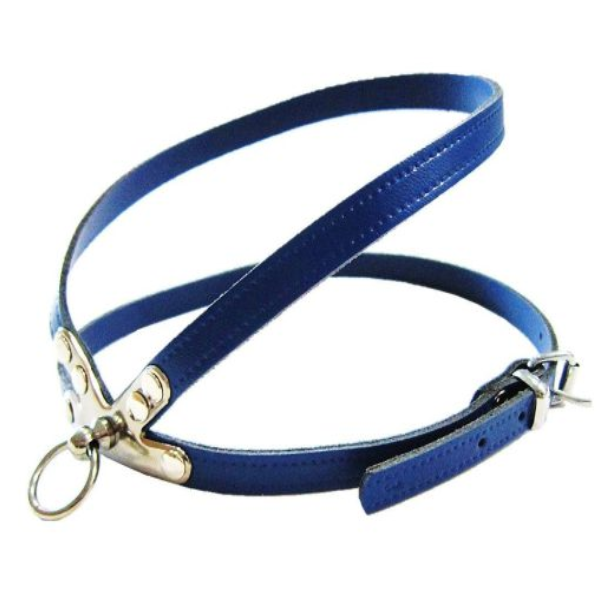 Pet Expert Ham Clasic Albastru – pet-expert,nr-6