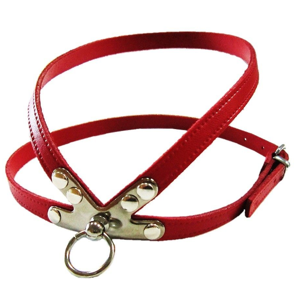 Pet Expert Ham Clasic Rosu – pet-expert,nr-3